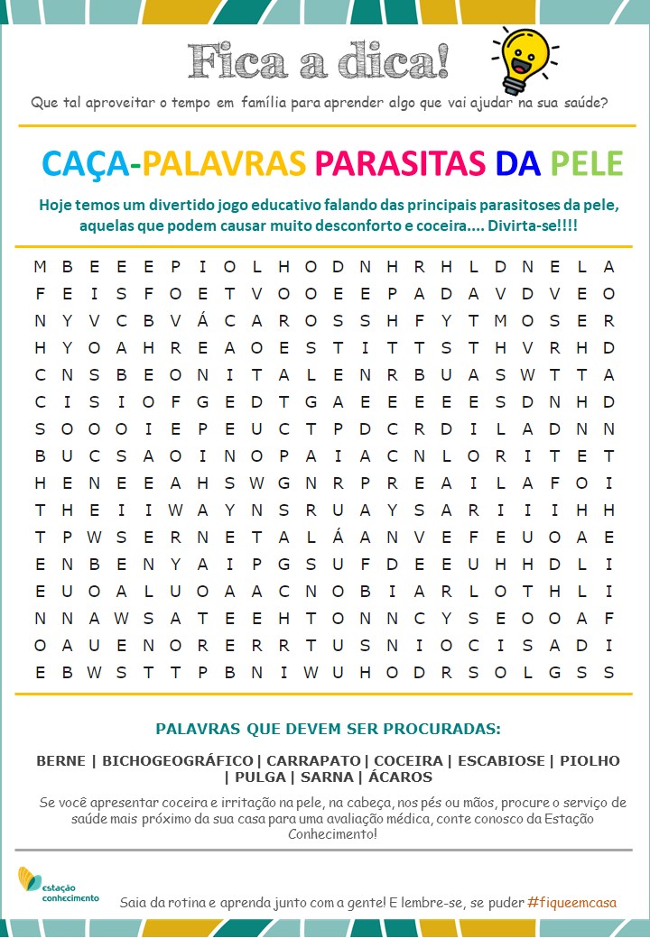 27 de novembro, criar um caça-palavras com as minhas palavras