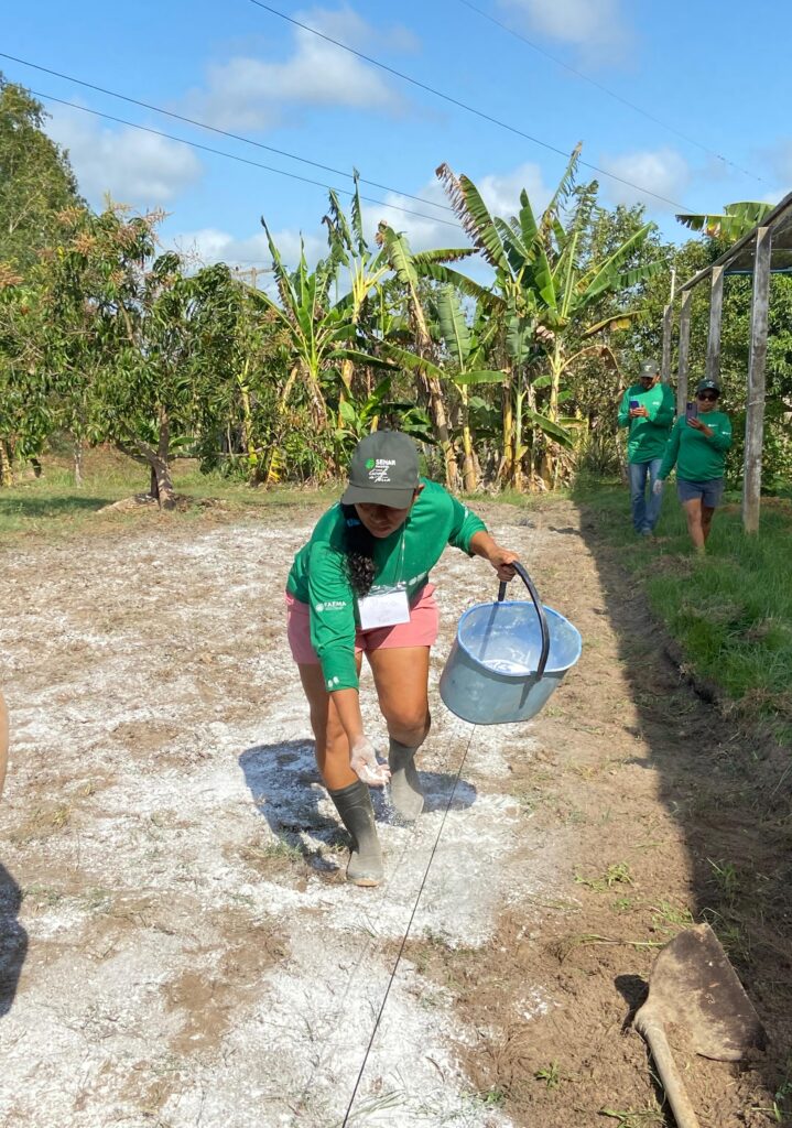 Cultivo de plantas agroalimentares 04.08 (5)