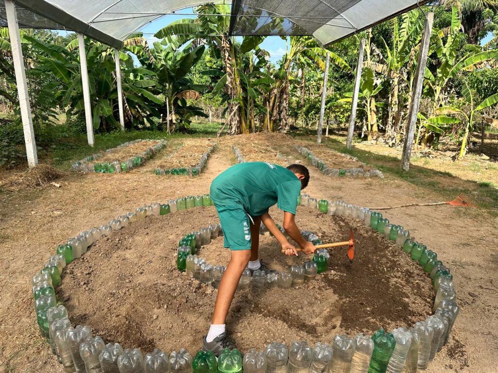 Adubação Organica (8)