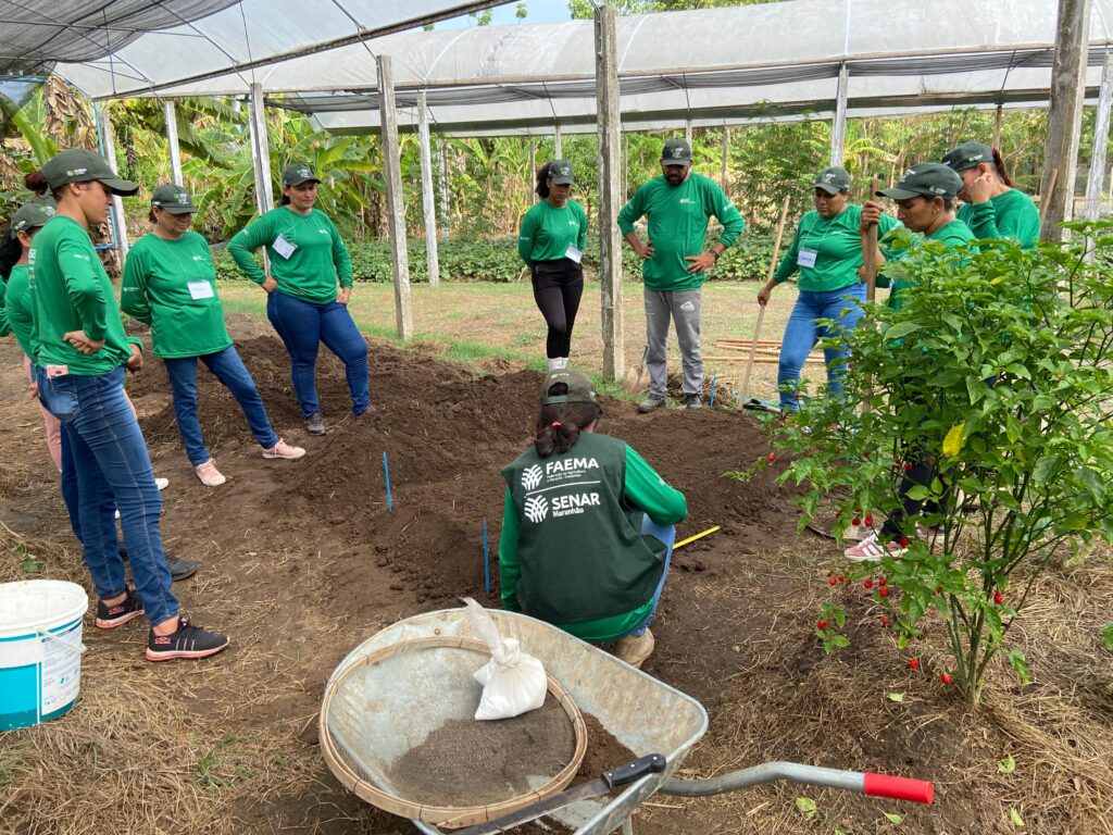 Cultivo de Hortaliças Folhosas (1)