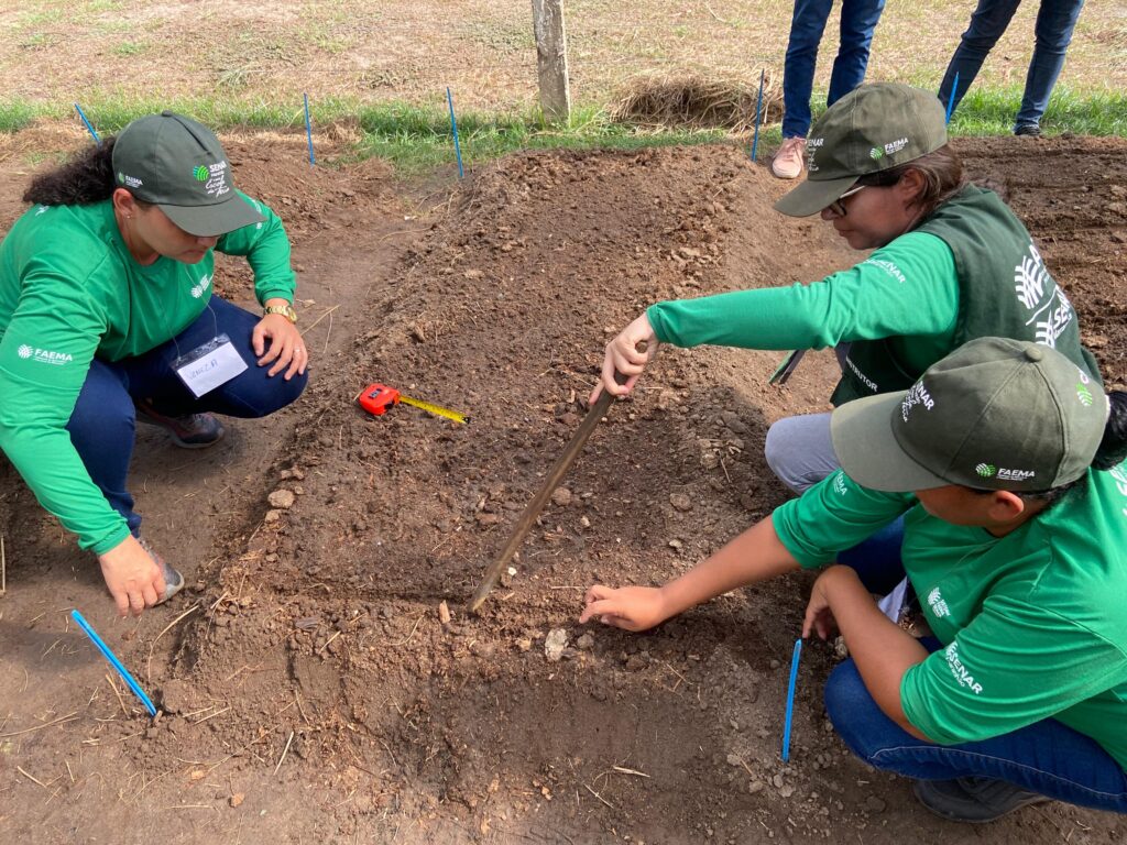 Cultivo de Hortaliças Folhosas (3)