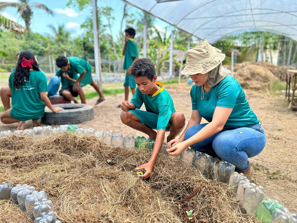 TRANSPLANTE DE MUDAS (8)